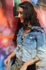  Farah Karimi At Thikka Movie Song Coverage Press Meet